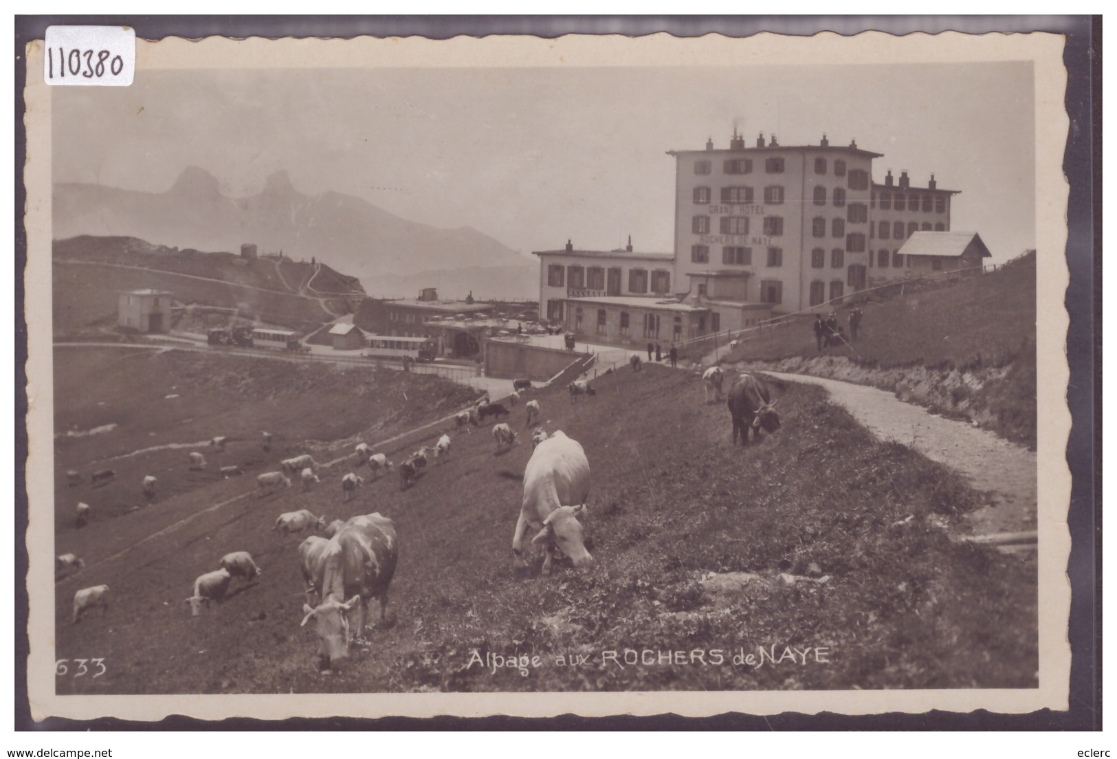 DISTRICT DE VEVEY - LES ROCHERS DE NAYE - TRAIN - BAHN - TB - Roche