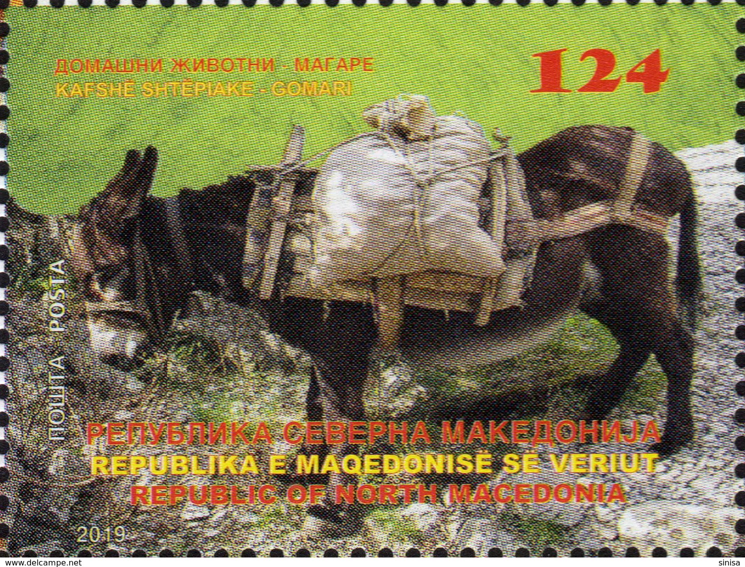 Republic Of North Macedonia/2019/Domestic Animals/Donkey - Nordmazedonien