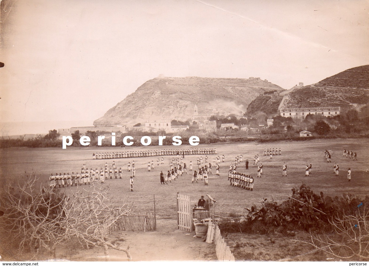 Tlemcen  Camp Baraqué D'El Aricha  Compagnie Militaire  ( Photo 1896) - Tlemcen