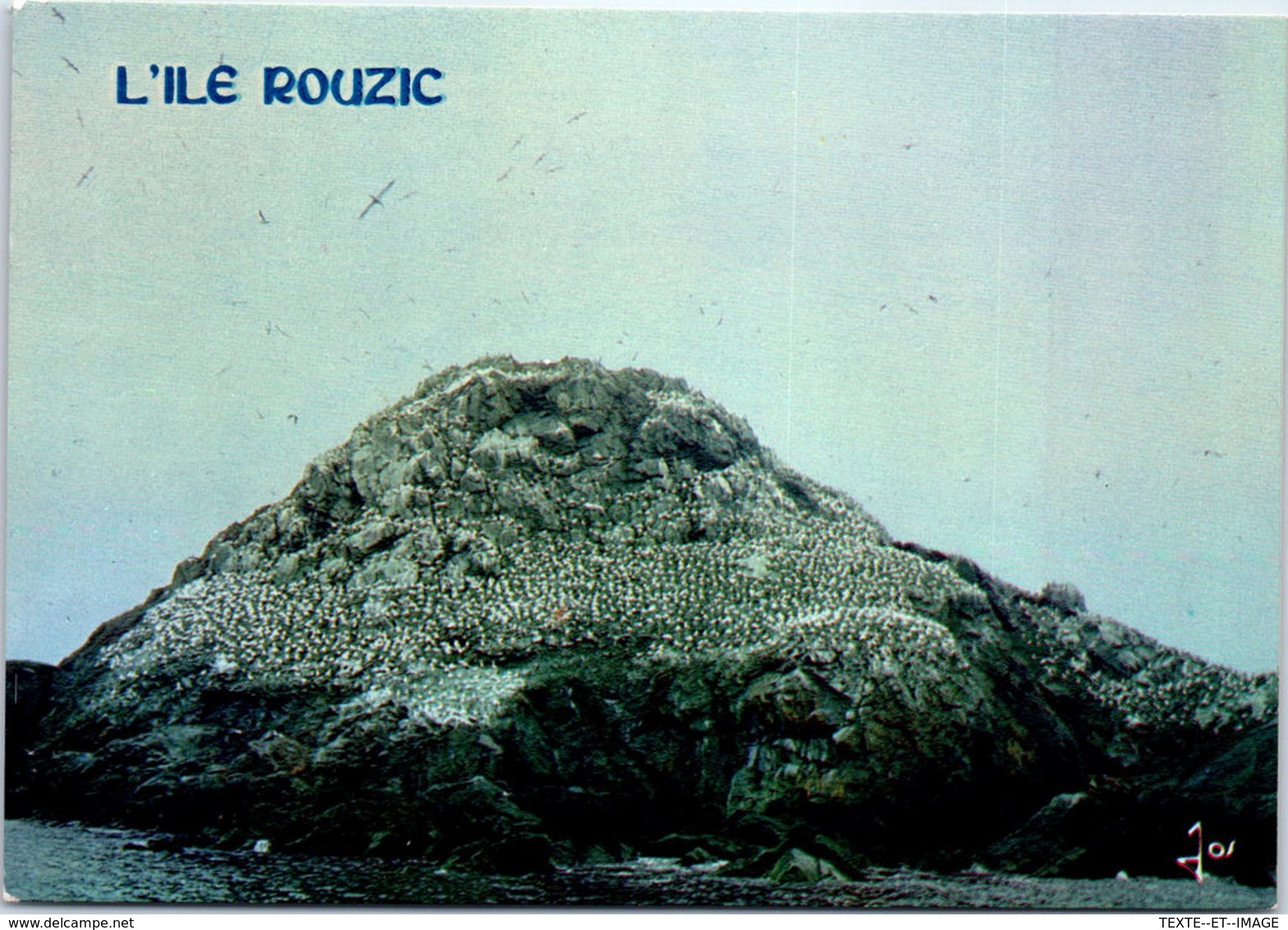 22 ILE ROUZIC - Réserve D'oiseaux - Autres & Non Classés