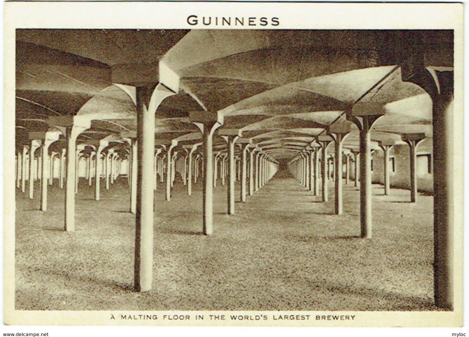 Brasserie Guinness. A Malting Floor In The World's Largest Brewery. - Dublin