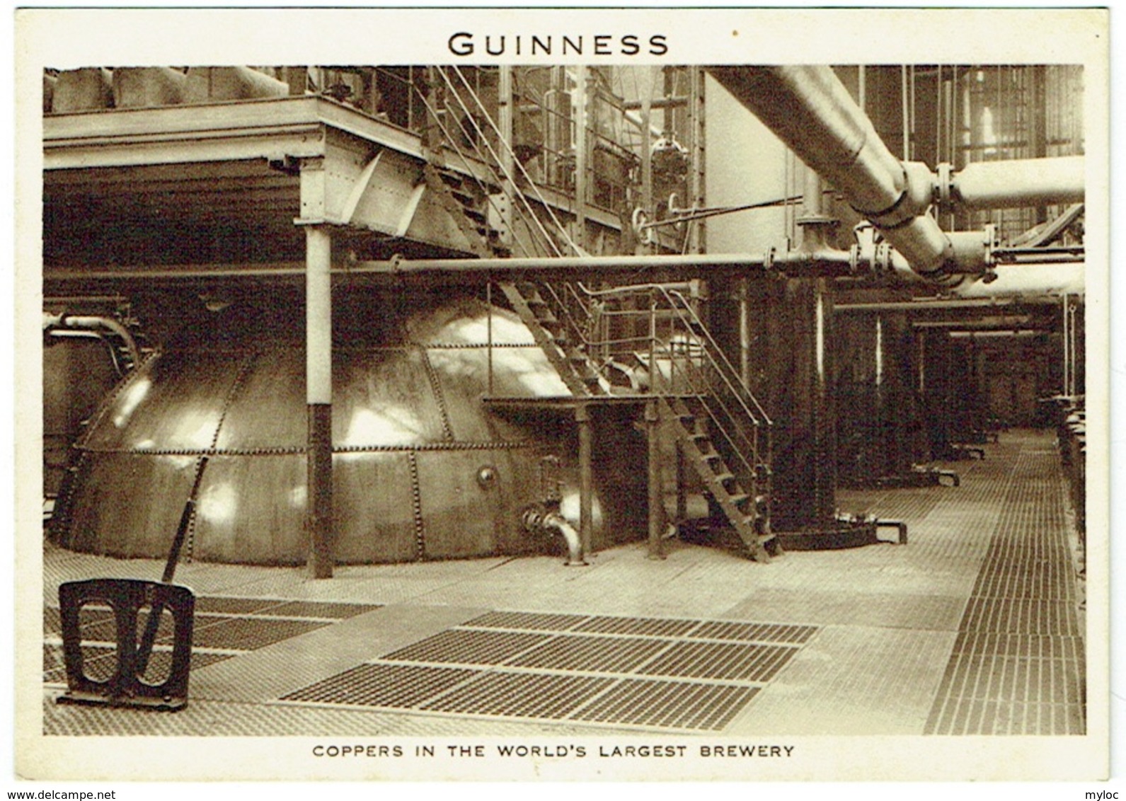 Brasserie Guinness. Coppers In The World's Largest Brewery. - Dublin