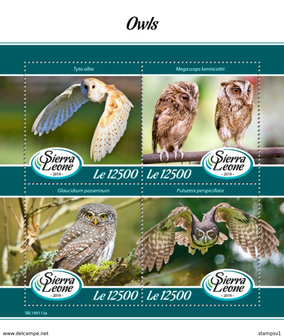 Sierra Leone. 2019 Owls. (0113a)  OFFICIAL ISSUE - Owls