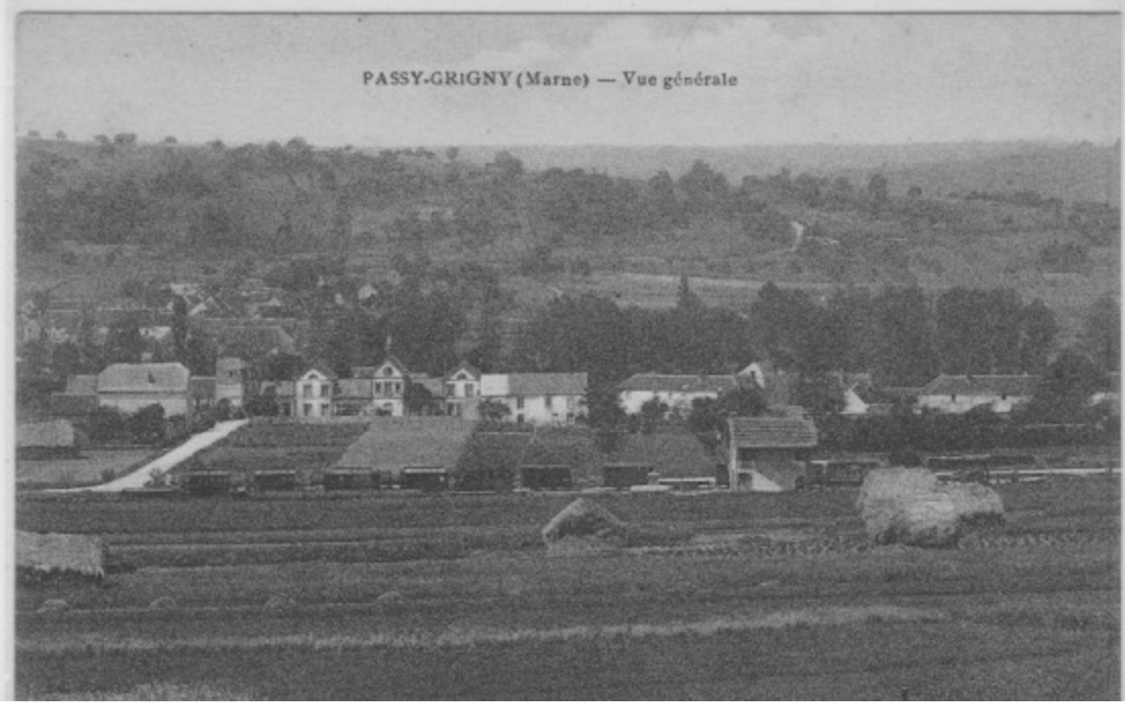 PASSY - GRIGNY  :-  VUE  GÉNÉRALE - Autres & Non Classés