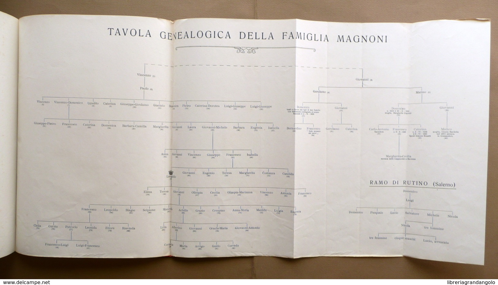 Notizia Sulla Famiglia Magnoni Tip. Zuffi Ferrara 1909 26 Fotografie Originali - Non Classificati