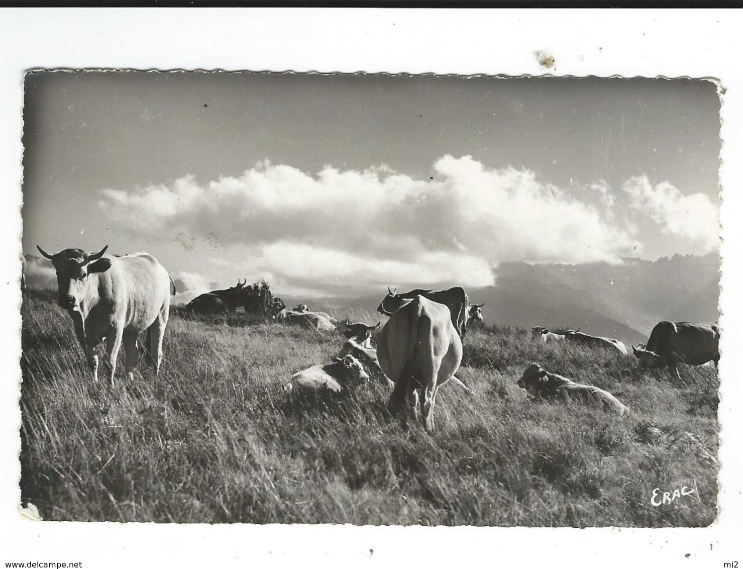 09 AX Les Thermes Vacherie Au Signal De La Hioula Pv De Rulle écrite 1959 TBE - Ax Les Thermes