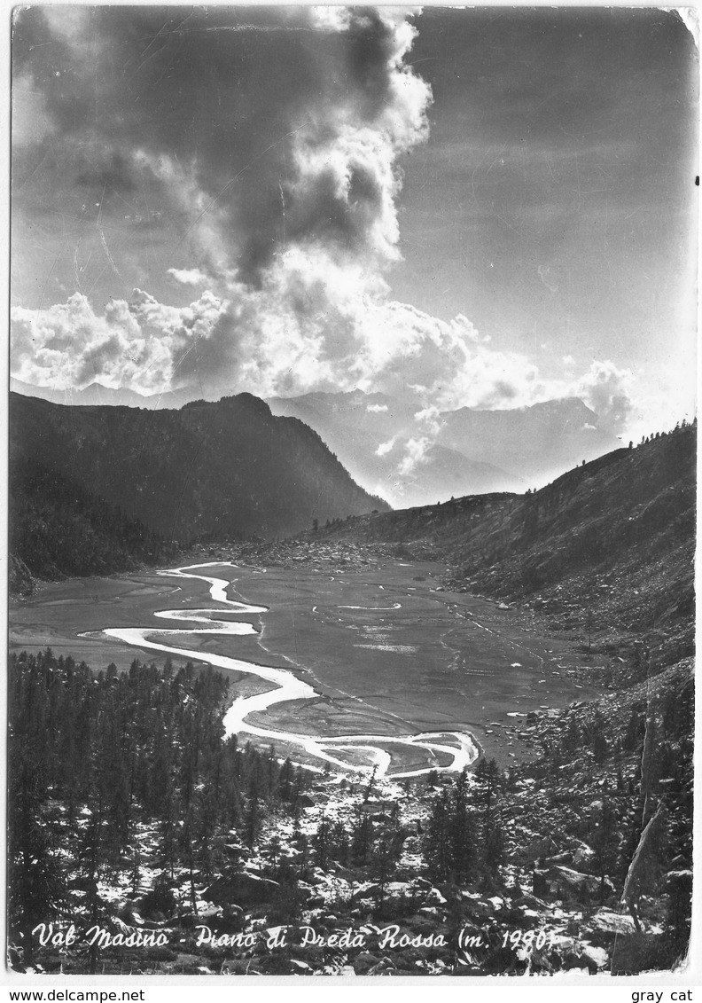 Val Masino, Piano Di Preda Rossa, M. 1990,unused Postcard [23114] - Sondrio