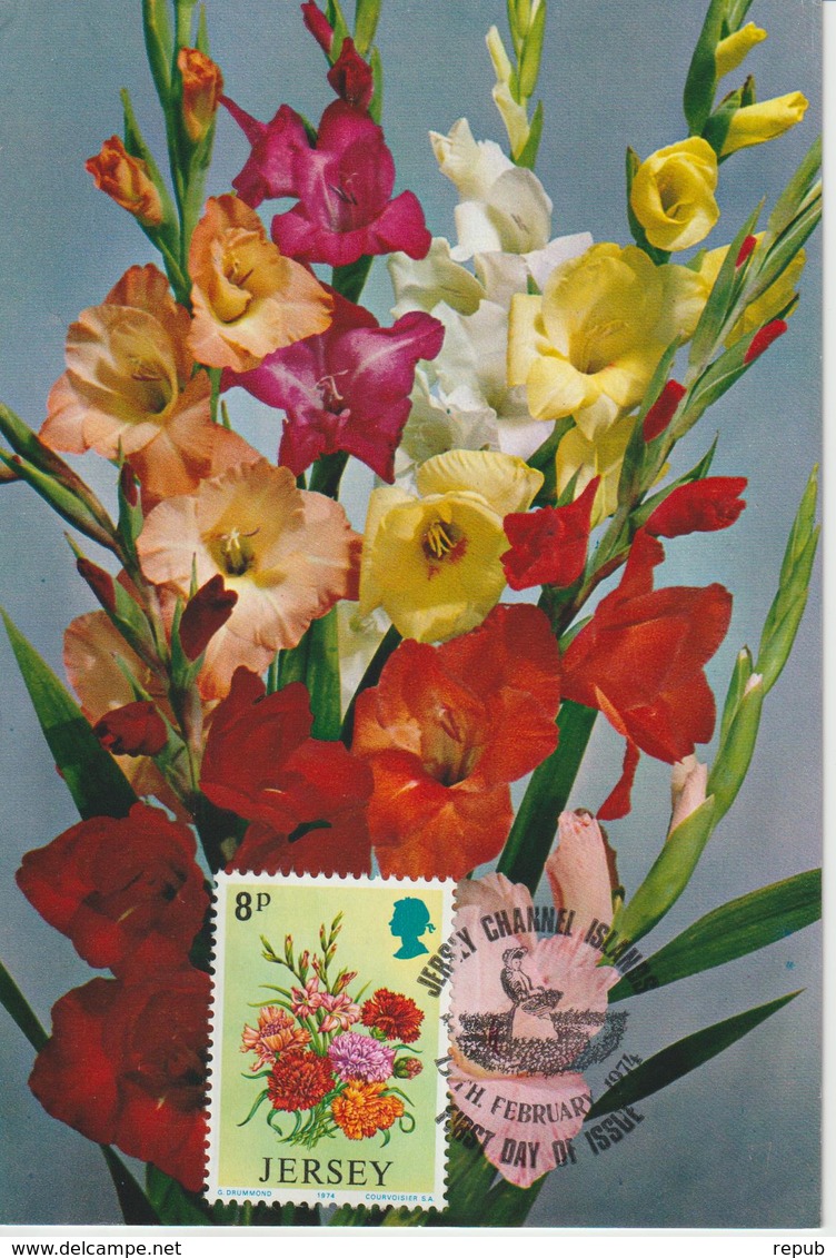 Jersey Carte Maximum 1974 Fleurs Glaieuls 91 - Jersey