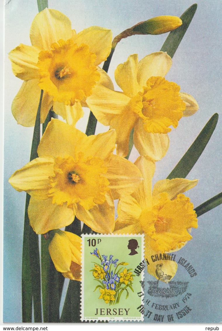 Jersey Carte Maximum 1974 Fleurs Jonquilles 92 - Jersey