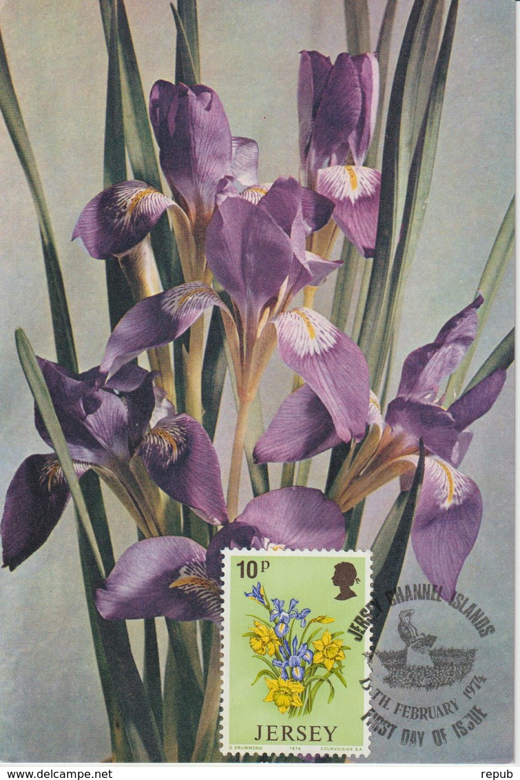 Jersey Carte Maximum 1974 Fleurs Iris 92 - Jersey