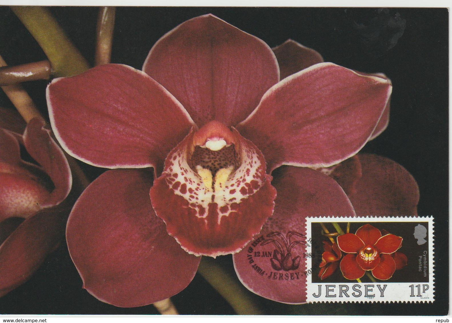 Jersey Carte Maximum 1988 Orchidées 419 - Jersey