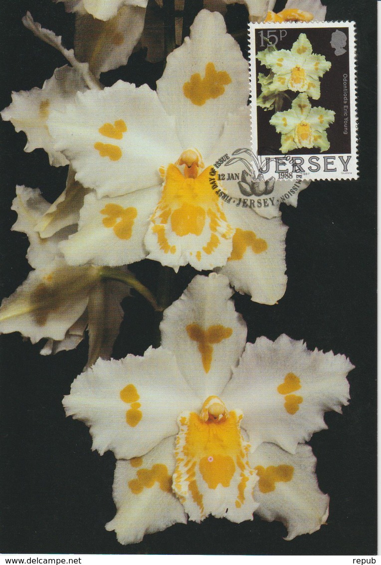 Jersey Carte Maximum 1988 Orchidées 420 - Jersey