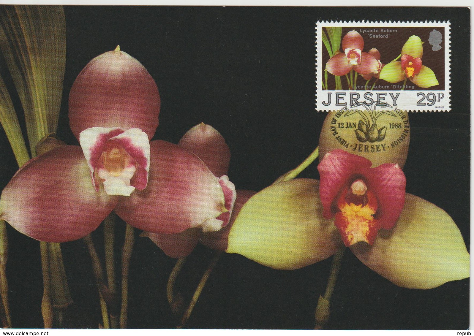 Jersey Carte Maximum 1988 Orchidées 421 - Jersey