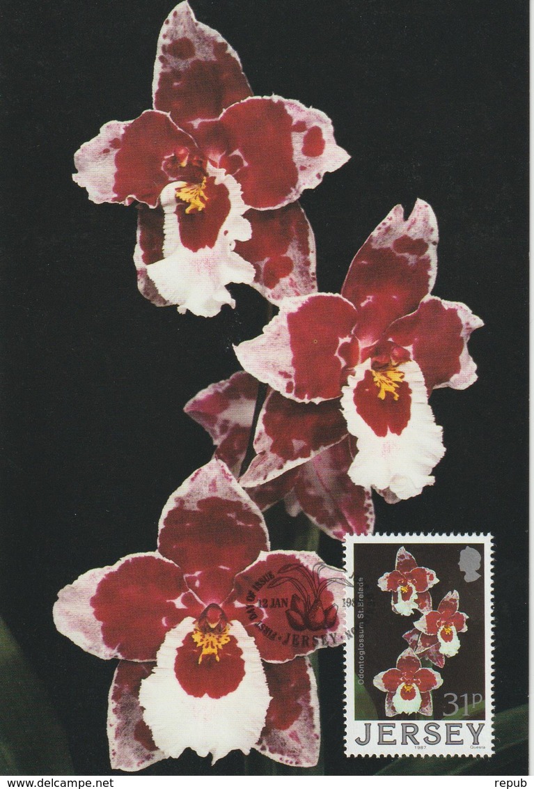 Jersey Carte Maximum 1988 Orchidées 422 - Jersey