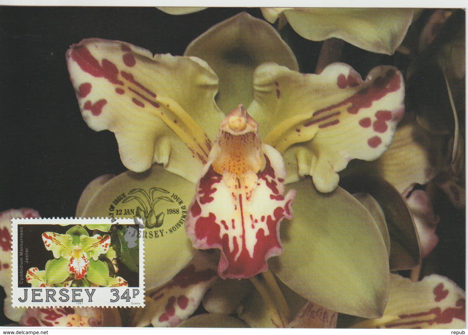 Jersey Carte Maximum 1988 Orchidées 423 - Jersey