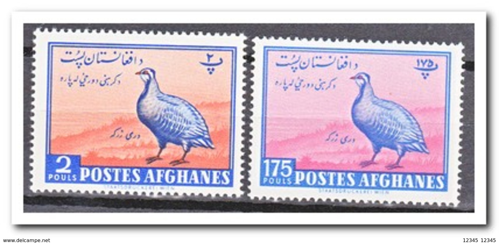 Afghanistan 1961, Postfris MNH, Birds - Afghanistan