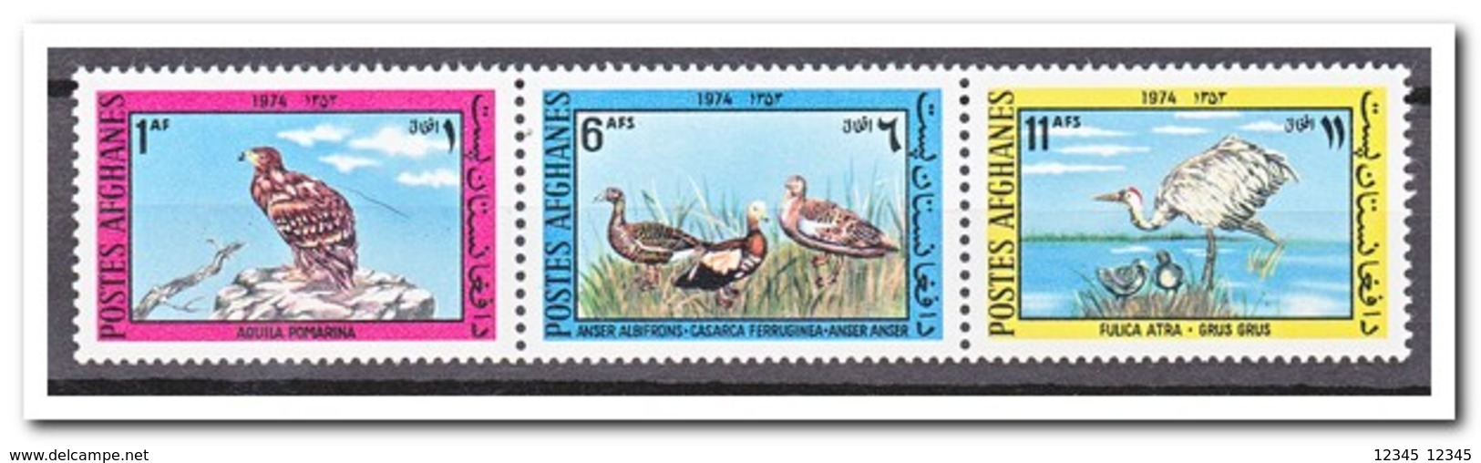 Afghanistan 1974, Postfris MNH, Birds - Afghanistan