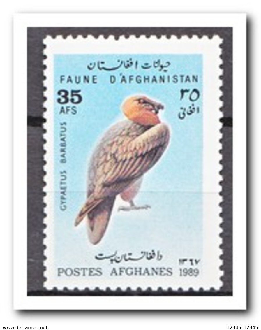 Afghanistan 1989, Postfris MNH, Birds - Afghanistan