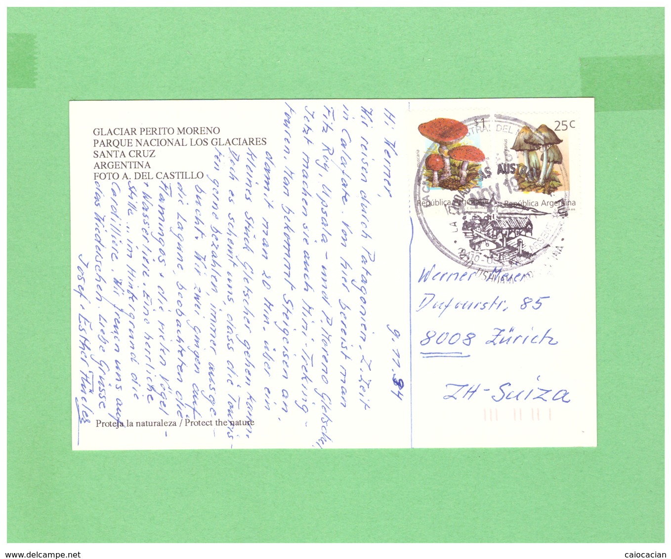 1994 ARGENTINA SANTA CRUZ AIR MAIL POSTCARD WITH 2 MUSCHROOMS STAMPS TO SWISS - Lettres & Documents