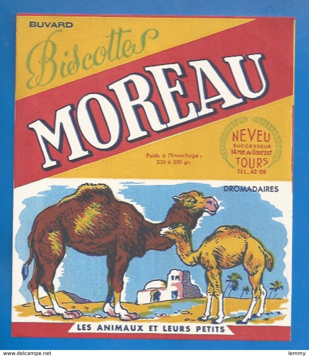 37 - TOURS, 14 RUE DE COURSET - BUVARD ILLUSTRÉ- BISCOTTES MOREAU - ANIMAUX ET LEURS PETITS - DROMADAIRES - Biscottes