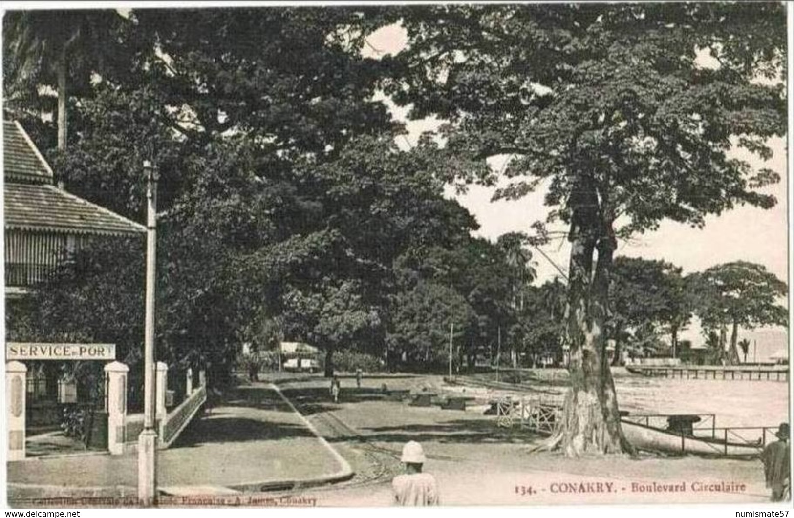 CPA CONAKRY ( KONAKRY ) - Boulevard Circulaire  - ( Service Du Port ) - Collection A. James , Conakry N°134 - Guinée