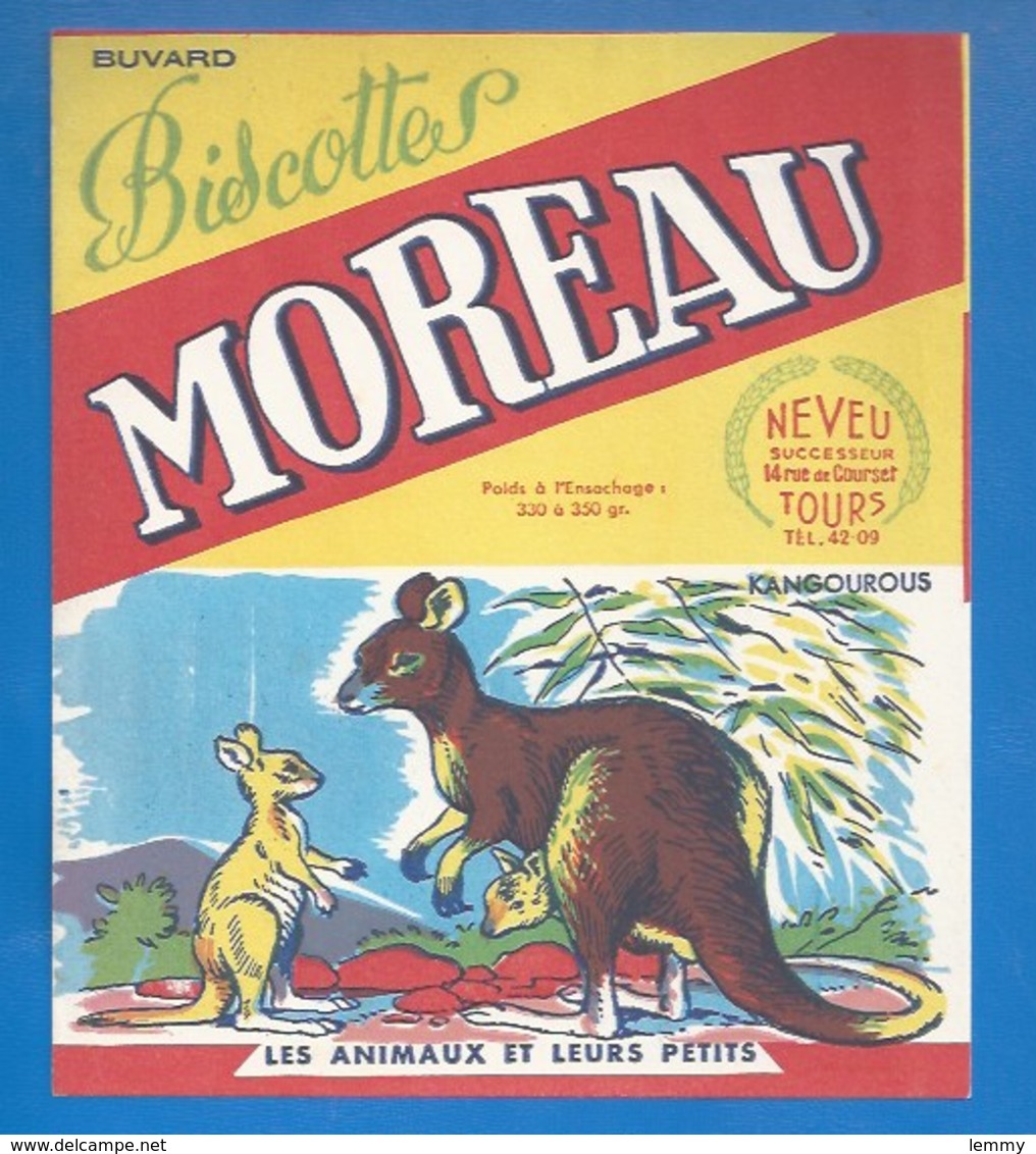 37 - TOURS, 14 RUE DE COURSET - BUVARD ILLUSTRÉ- BISCOTTES MOREAU - ANIMAUX ET LEURS PETITS - KANGOUROUS - Biscottes