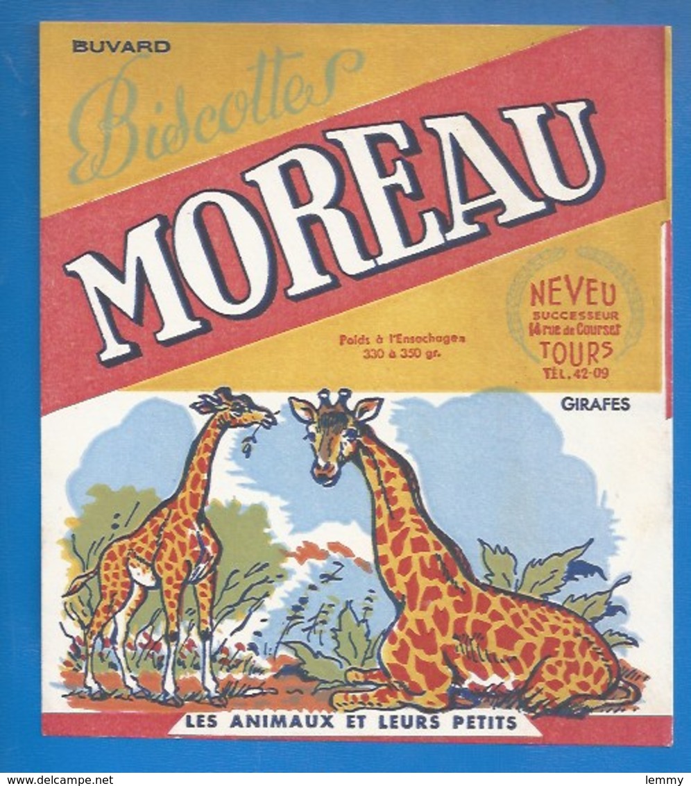 37 - TOURS, 14 RUE DE COURSET - BUVARD ILLUSTRÉ- BISCOTTES MOREAU - ANIMAUX ET LEURS PETITS - ZÈBRES - Biscottes