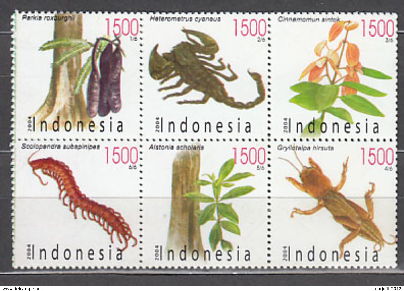 Indonesia - Correo 2004 Yvert 2111/6 ** Mnh  Fauna Y Flora - Indonesia