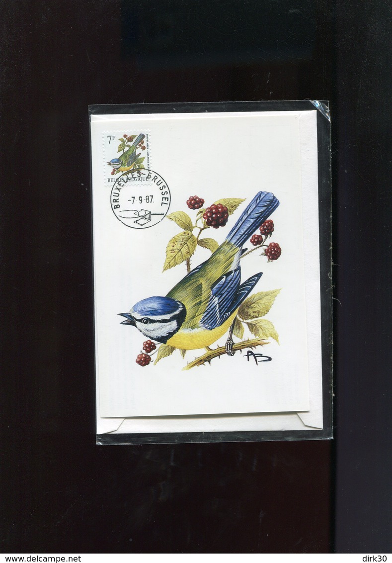 Belgie 2261  Andre Buzin Birds Lettre Veeweyde NASSOGNE 7/9/1987 + Carte Bruxelles RR En Emballage Plastic Fermé - 1985-.. Birds (Buzin)