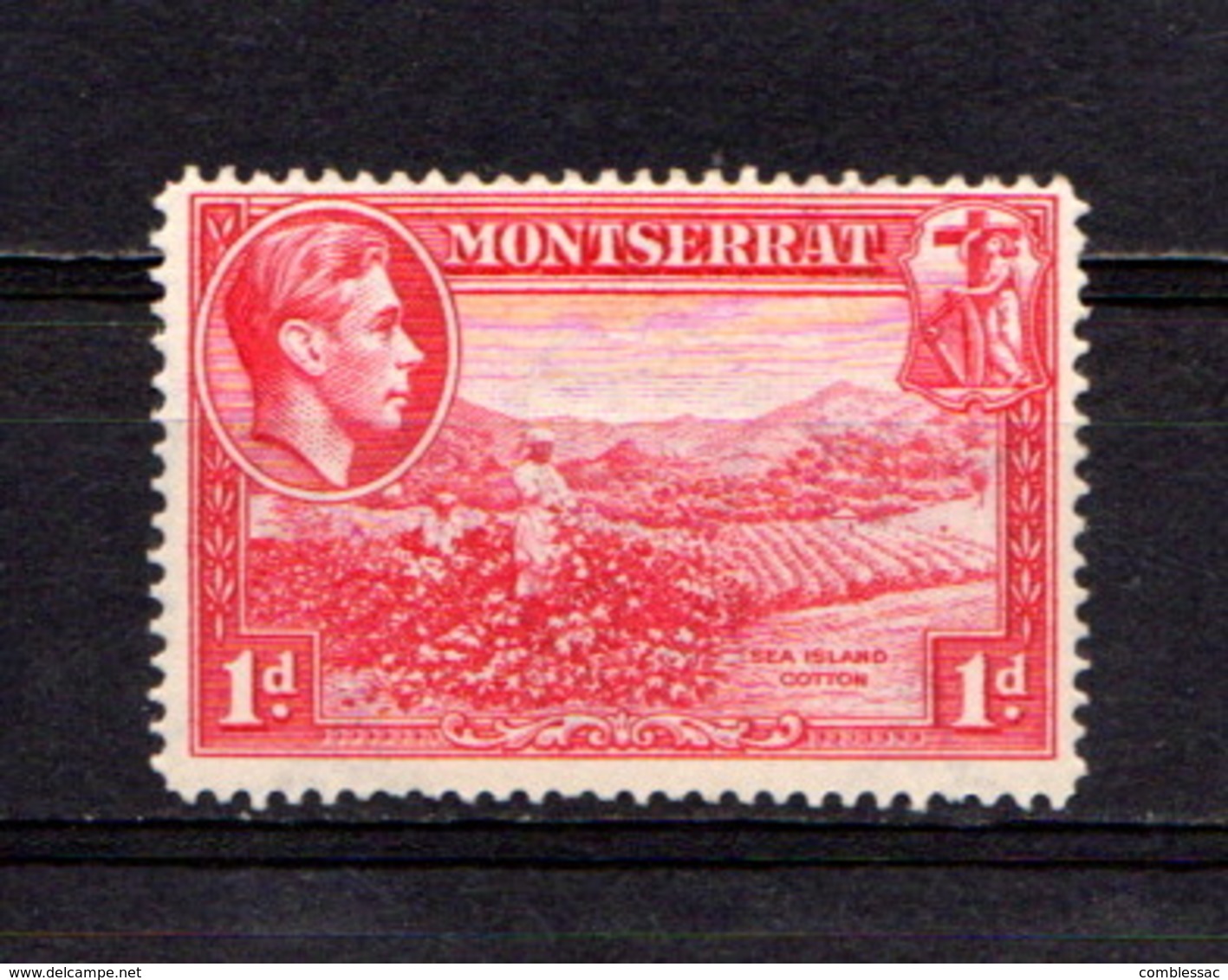 MONTSERRAT    1938    1d  Carmine   Perf  14    MNH - Montserrat