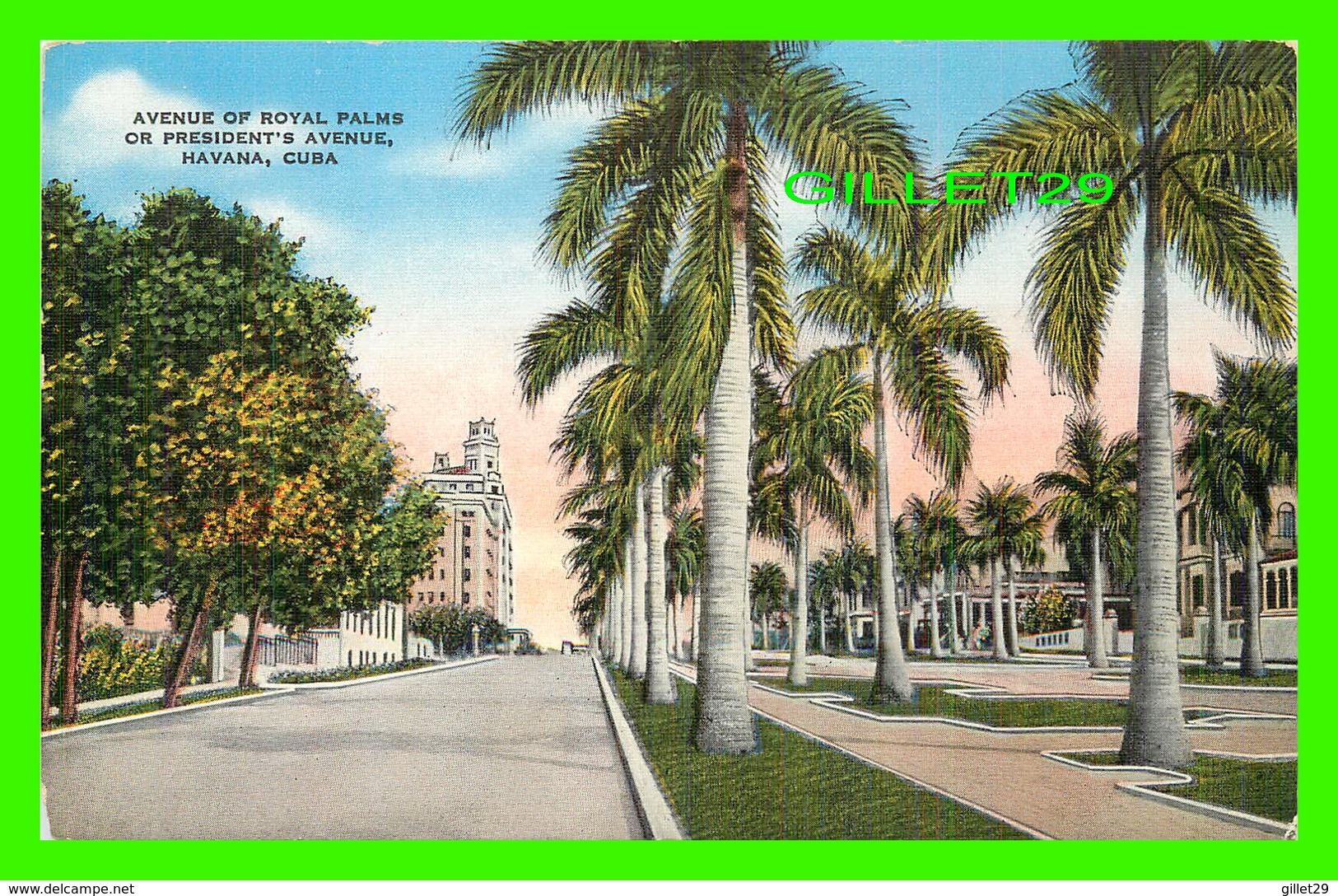 HABANA, CUBA - AVENUE OF ROYAL PALMS OR PRESIDENT'S AVENUE, HAVANA - PUB. BY ROBERTS & CO - - Cuba