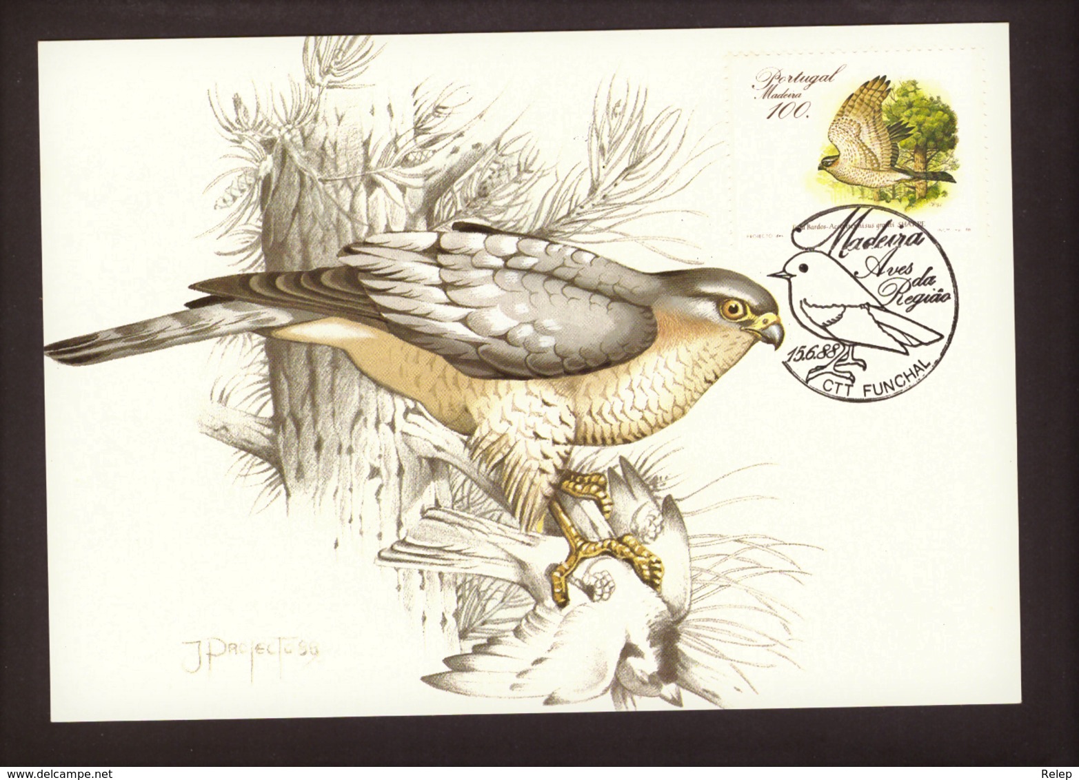 Portugal 1988 - Birds Of Madeira 100$00 2° Grupo Postcard   Subscrito 1°dia - Nuevos