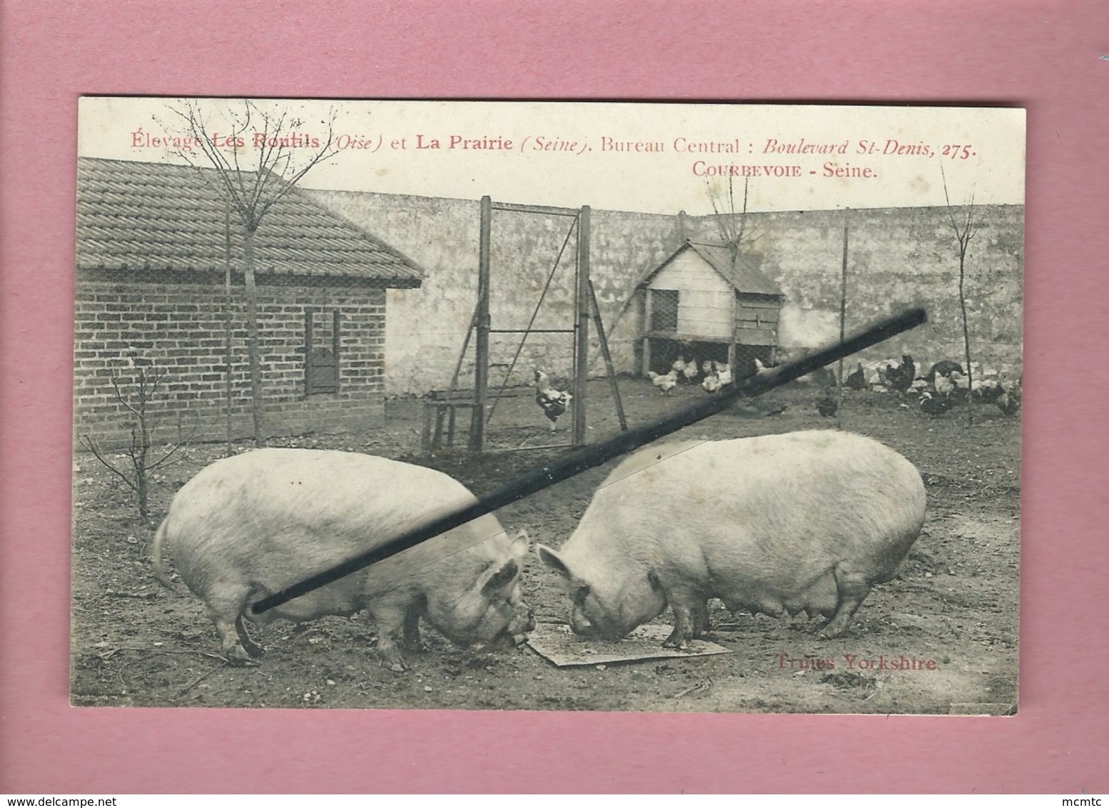 CPA - Voir Montjavoult - Elevage Les Rontils -(Oise) Et La Pairie (Seine )-... (  Cochon , Cochons , Truites , Truites ) - Montjavoult