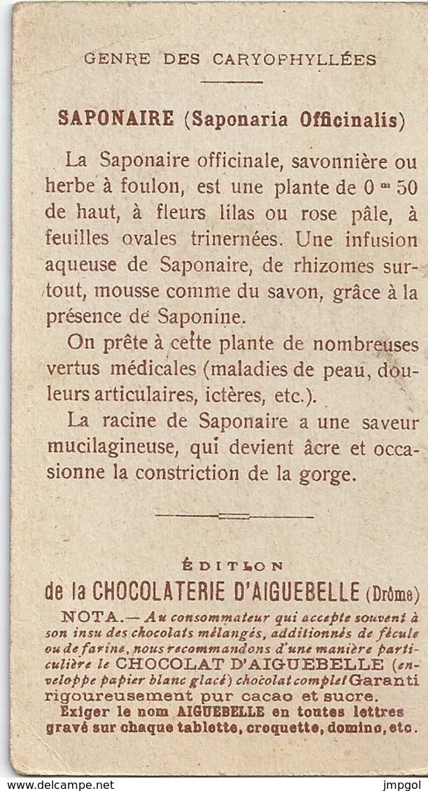 Chromos Chocolat Aiguebelle Série Les Plantes Médicinales Saponaire - Aiguebelle