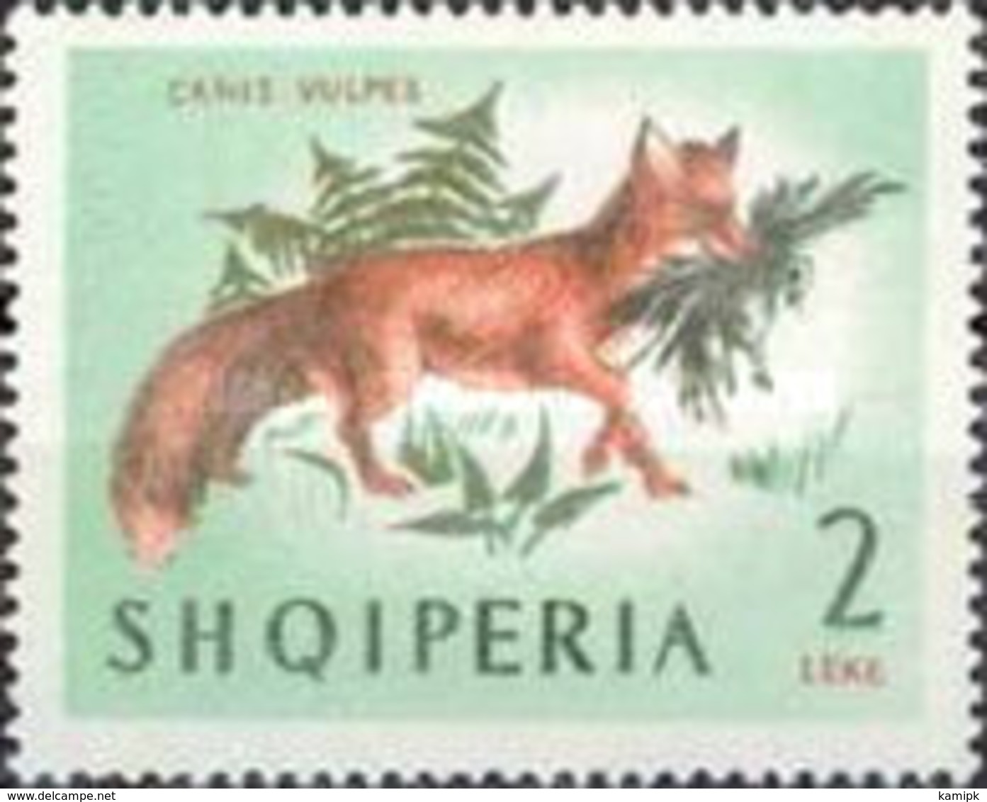 USED STAMPS Albania - Animals - Mammals  -1964 - Albania