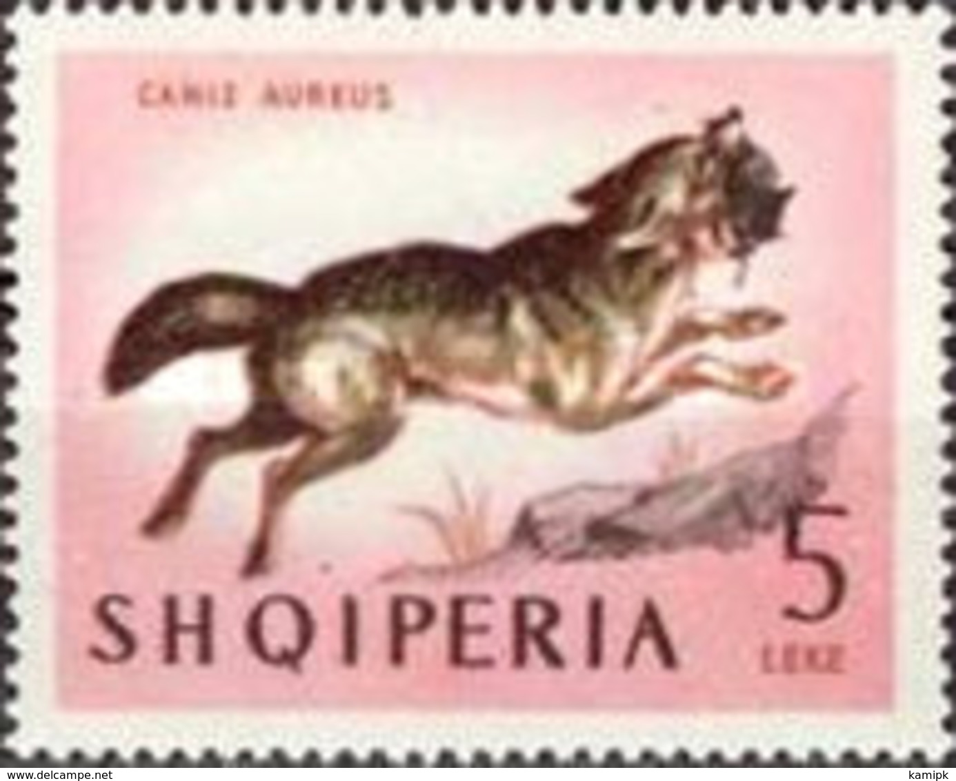 USED STAMPS Albania - Animals - Mammals  -1964