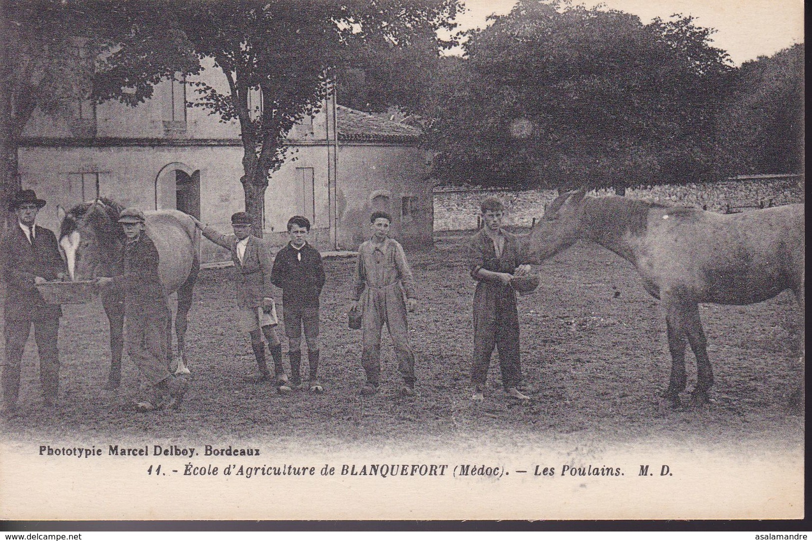 GIRONDE – Ecole D'Agriculture De Blanquefort – Les Poulains - Blanquefort