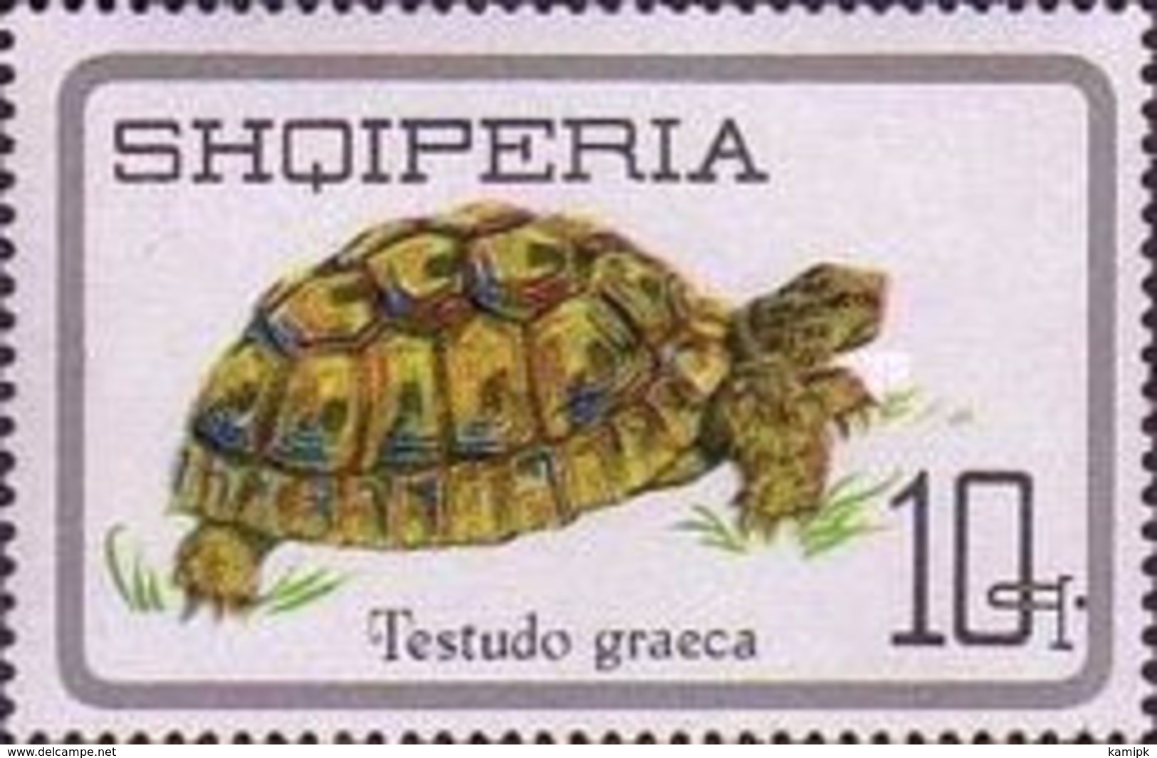 USED STAMPS Albania - Reptiles	 -1966 - Albanie