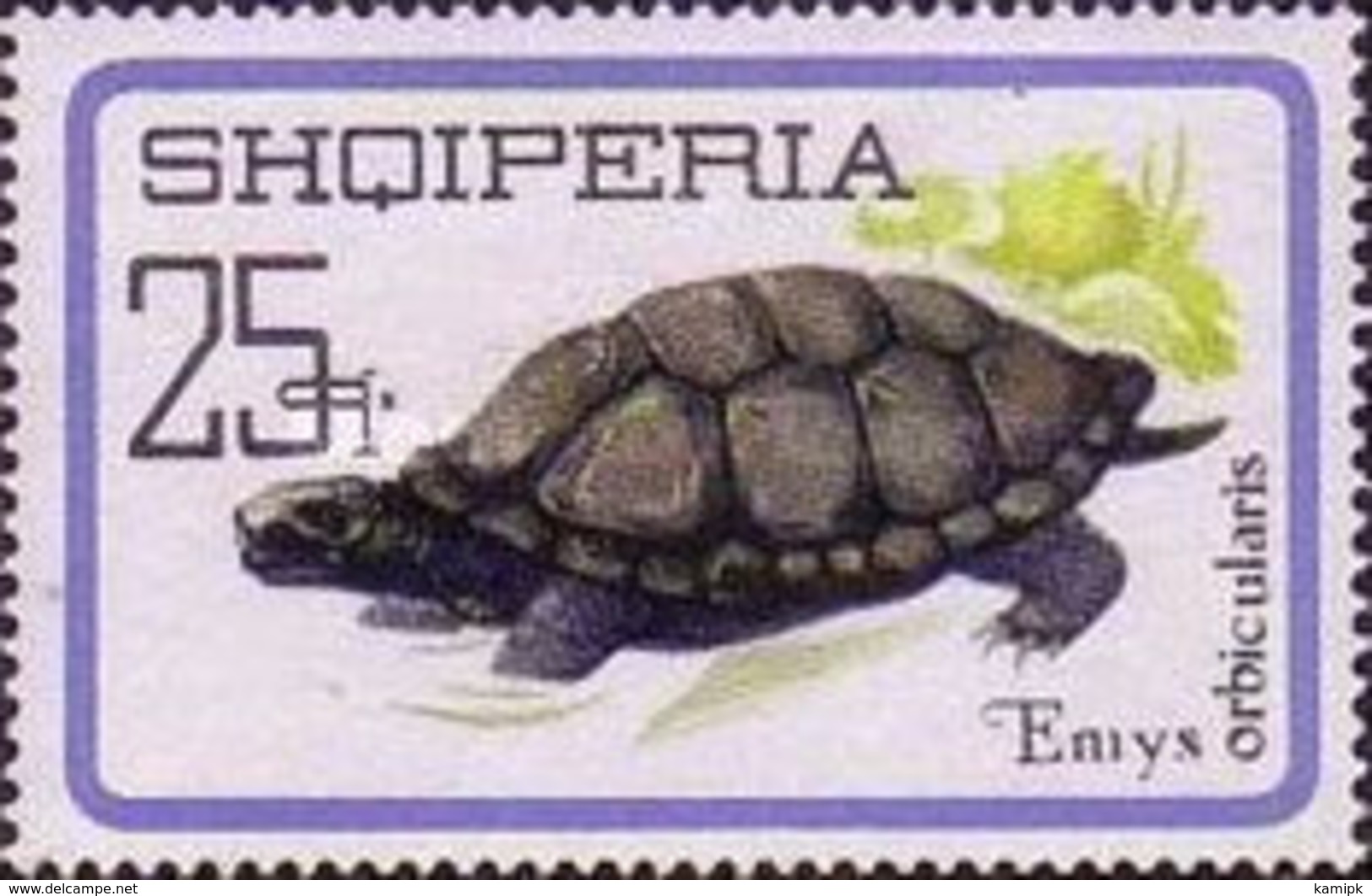 USED STAMPS Albania - Reptiles	 -1966 - Albanie