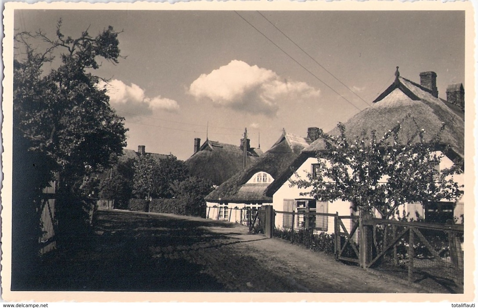 Ostseebad WUSTROW Mecklenburg Neue Strasse Datiert 1952 TOP-Erhaltung Ungelaufen - Ribnitz-Damgarten