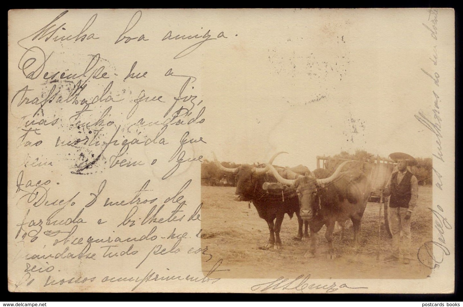 Postal Fotografico CARROÇA De BOIS, Circulado De Estremoz Para Lisboa Em 1904. Old RPPC Ox Cart / Bullock PORTUGAL - Evora