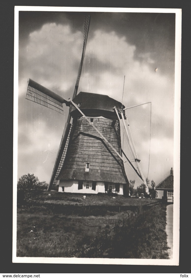 Hollands Molenlandschap - Fotokaart - Molen / Mill / Moulin - 1953 - Andere & Zonder Classificatie