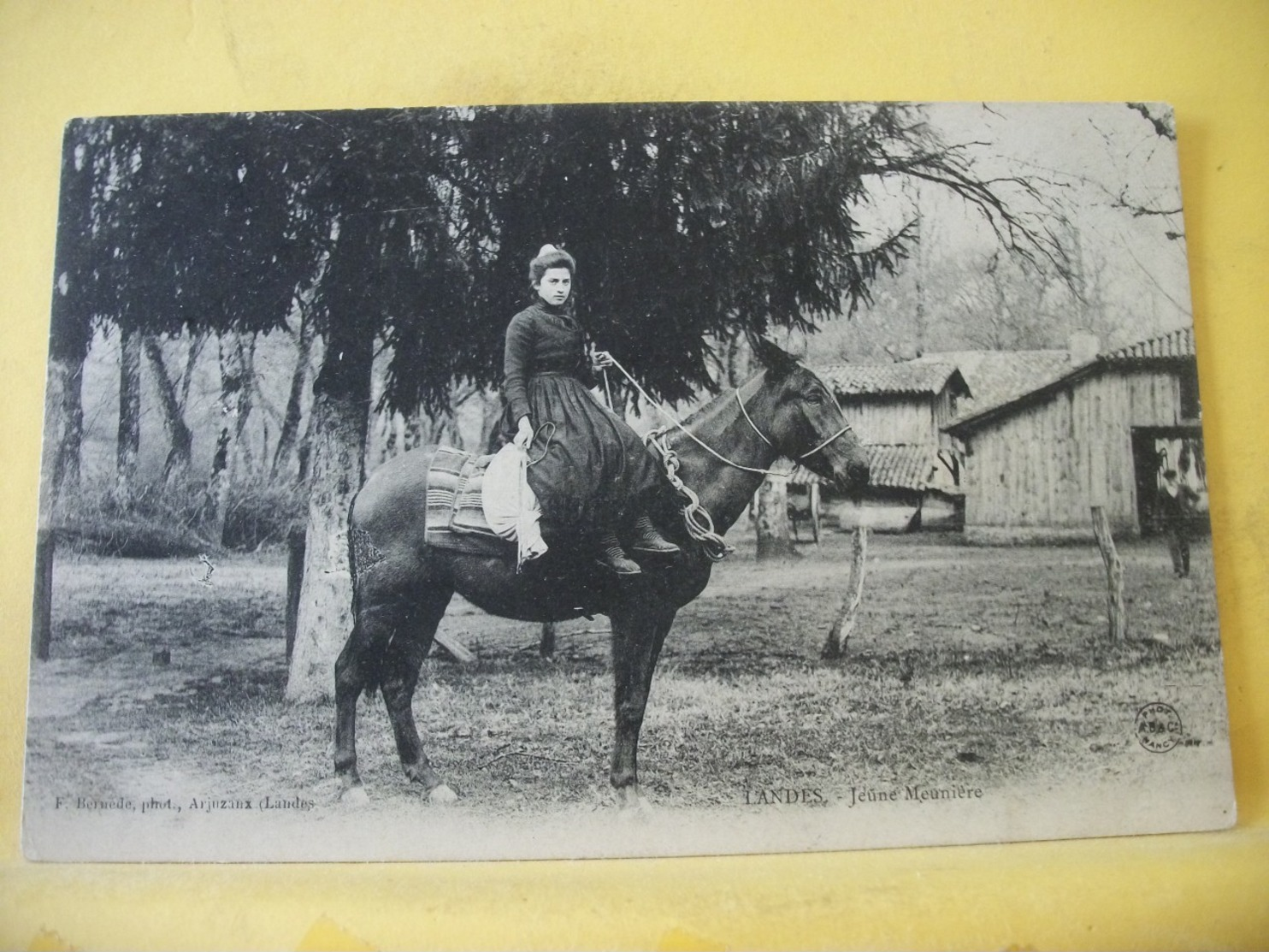 L13 60 CPA 1906 - 40 LANDES. JEUNE MEUNIERE - ANIMATION. TRES GROS PLAN SUR SON CHEVAL - Other & Unclassified