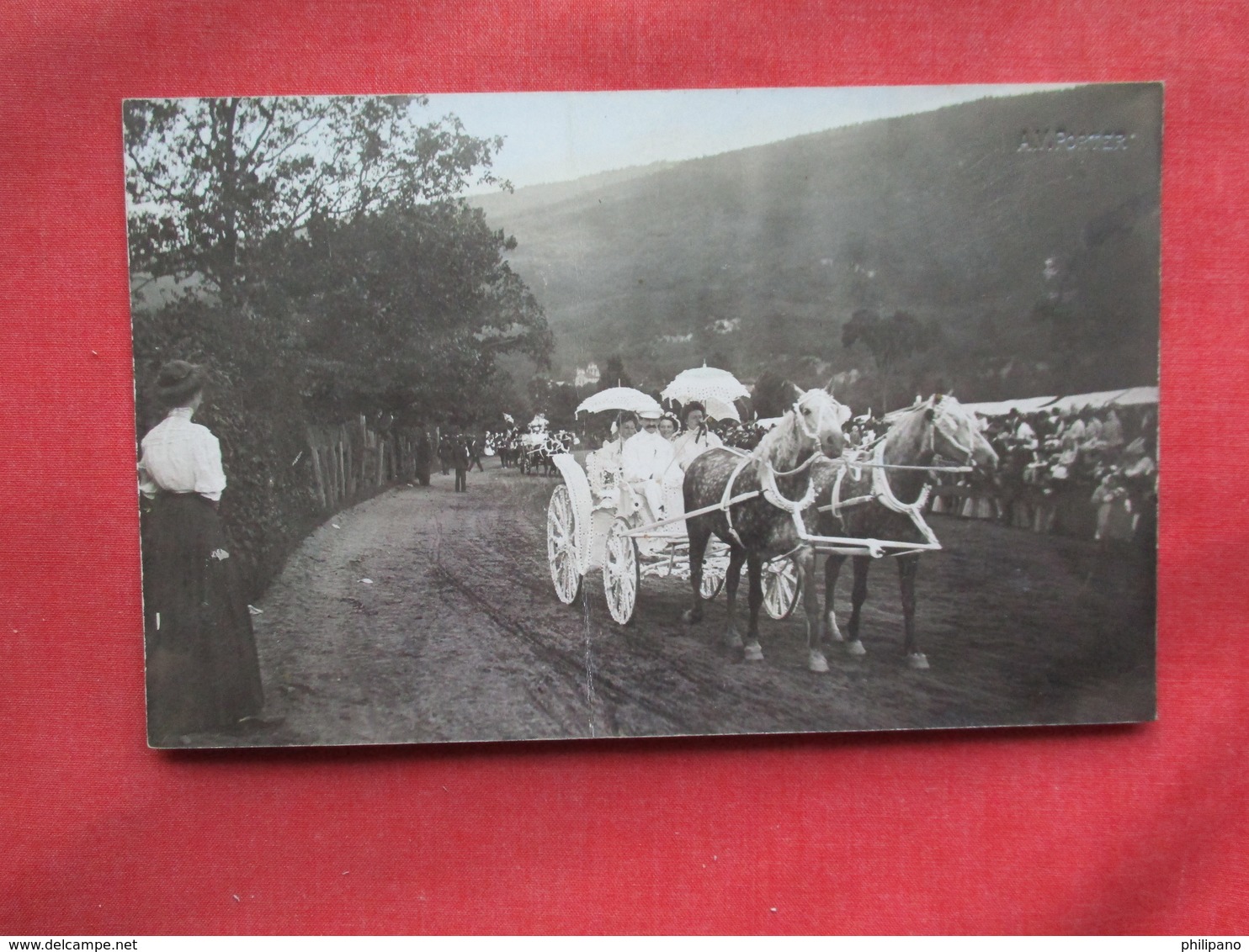 RPPC Fancy Horse & Carrige  Photo By AV Porter Has Crease  Ref 3233 - To Identify