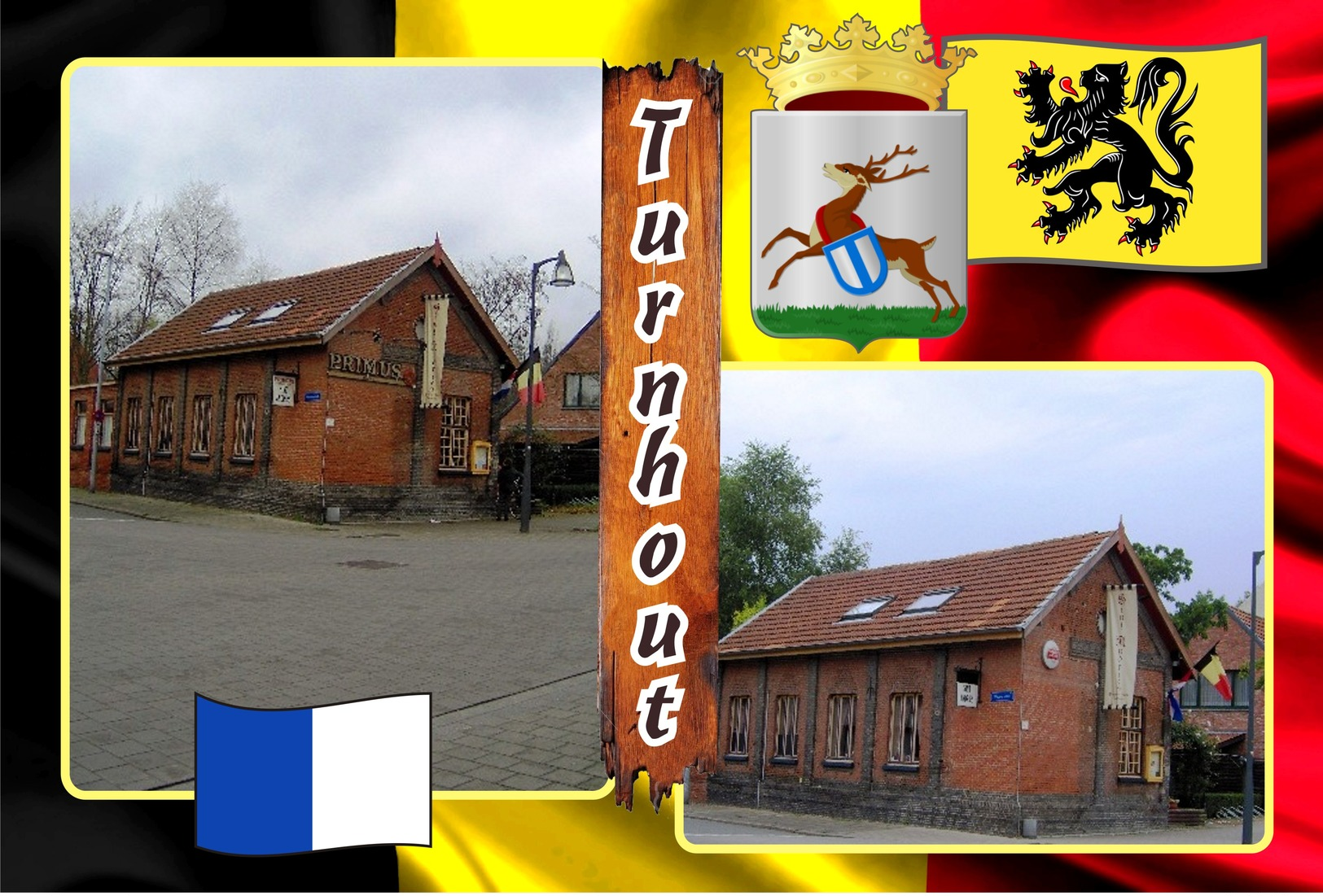 Postcards, REPRODUCTION, Municipalities of Belgium, Turnhout, duplex 244 to 294 - set of 51 pcs.