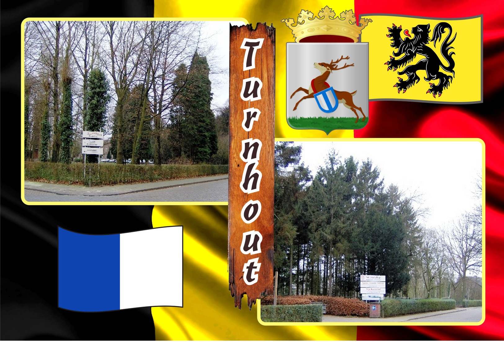 Postcards, REPRODUCTION, Municipalities of Belgium, Turnhout, duplex 244 to 294 - set of 51 pcs.