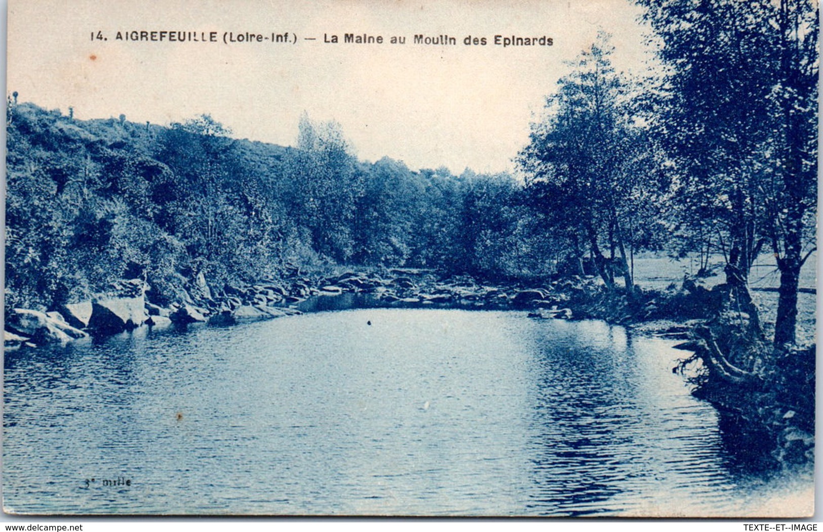 44 AIGREFEUILLE - La Maine Au Moulin Des Epinards - Aigrefeuille-sur-Maine