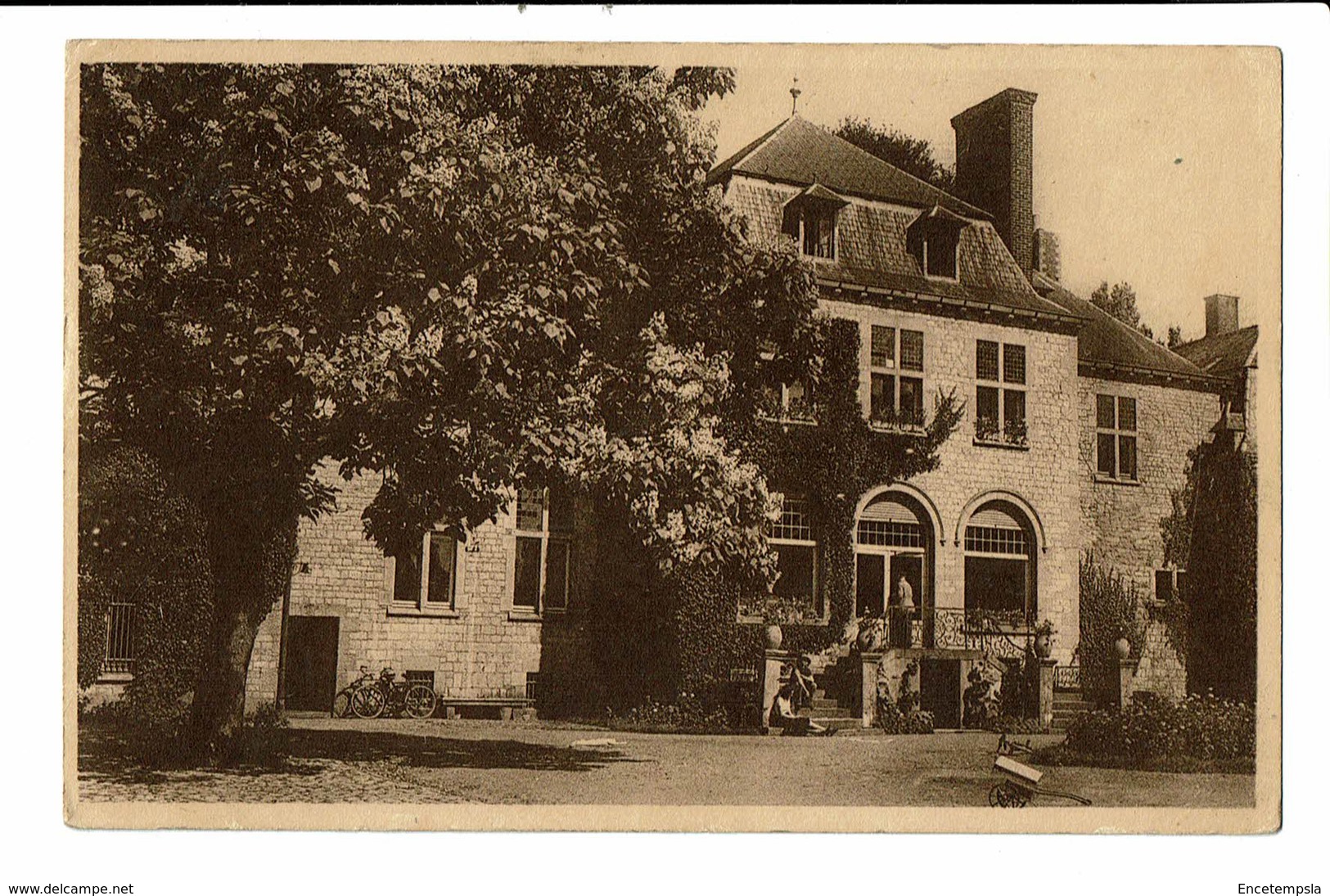 CPA - Carte Postale-Belgique - Ciney - Le Châtaeau D' Hallop  VM1624 - Ciney