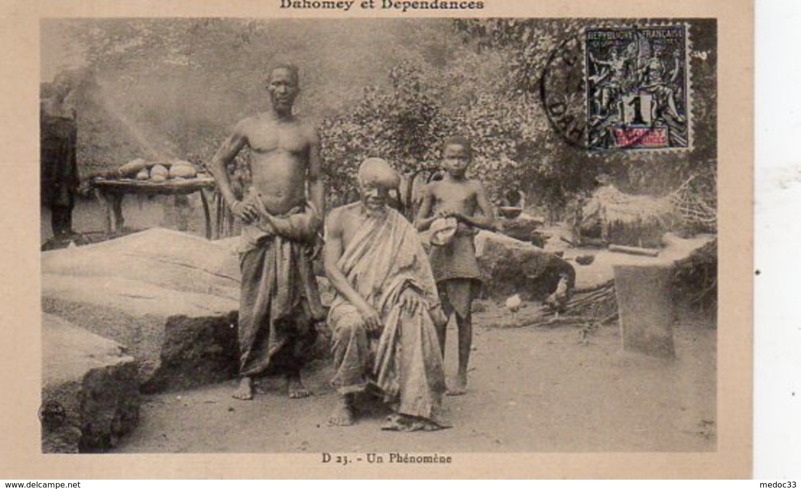 Afrique Occidentale,Dahomey Et Dépendances,Cpa Un Phénomène - Dahomey