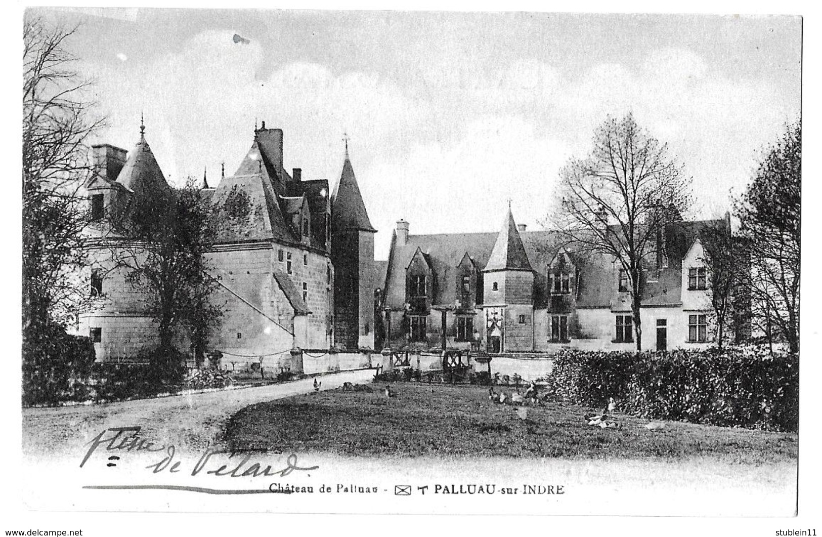 Palluau-sur-Indre (Indre)  Le Château - Autres & Non Classés